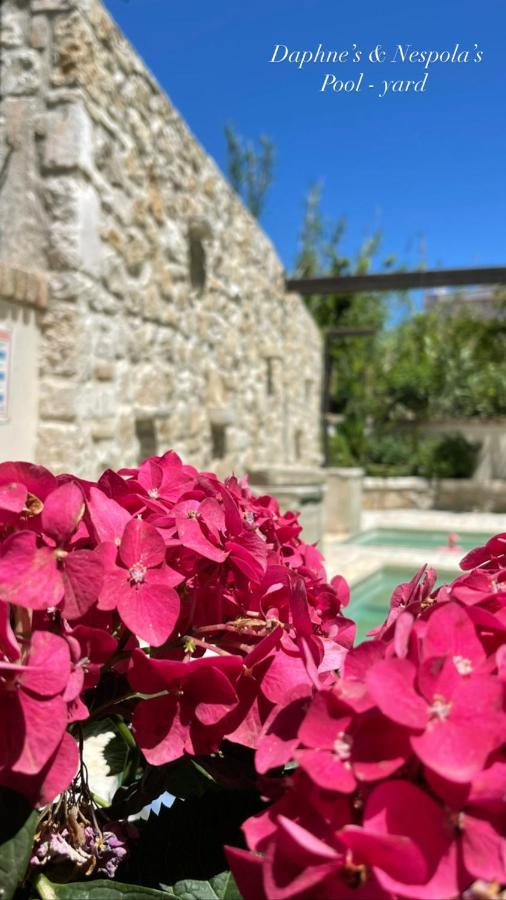 Apartament Carpofoli Corfu Corfu  Zewnętrze zdjęcie